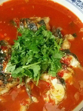 盤龍魚圖片欣賞 盤龍魚圖片欣賞 龍魚百科 第33張