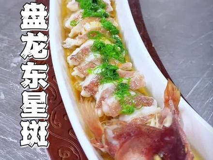 盤龍魚圖片欣賞 盤龍魚圖片欣賞 龍魚百科 第30張