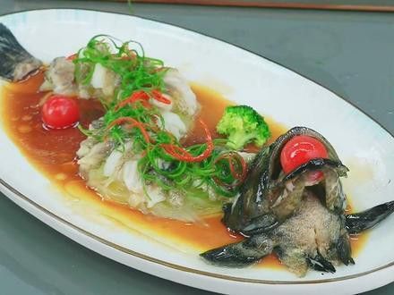 盤龍魚圖片欣賞 盤龍魚圖片欣賞 龍魚百科 第31張