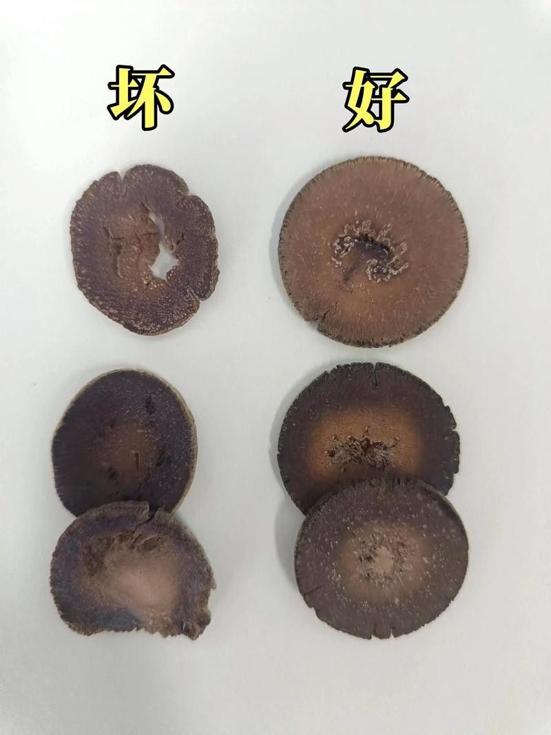 紅龍魚級別怎么分的圖片 龍魚百科 第32張 紅龍魚級別怎么分的圖片 紅龍魚級別怎么分的圖片 龍魚百科 第32張