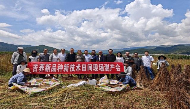 涼山彝族自治州龍魚養殖基地電話多少 涼山彝族自治州龍魚養殖基地電話多少 龍魚百科