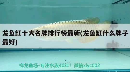 龍魚魚缸廠家排名前十名：龍魚魚缸廠家排名前十名有哪些？ 龍魚魚缸廠家排名前十名：龍魚魚缸廠家排名前十名有哪些？ 龍魚百科 第4張
