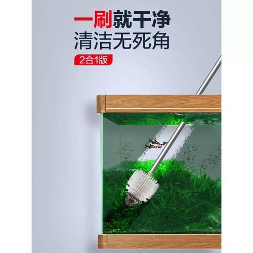 如何選擇適合金龍魚缸的清潔工具？ 如何選擇適合金龍魚缸的清潔工具？ 龍魚百科 第8張