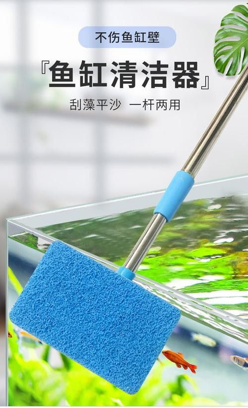如何選擇適合金龍魚缸的清潔工具？ 如何選擇適合金龍魚缸的清潔工具？ 龍魚百科 第7張
