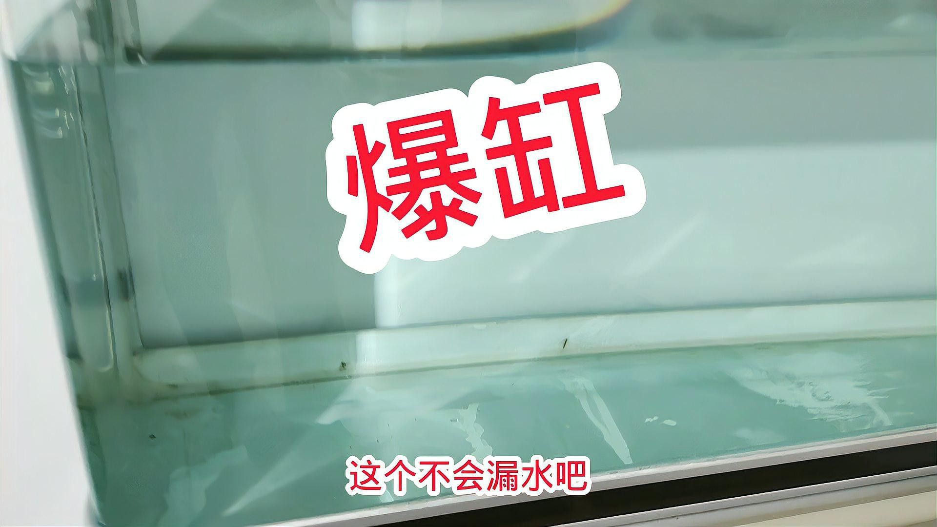 二手魚缸水族箱龍魚缸一米五魚缸一米二魚缸一米八魚缸