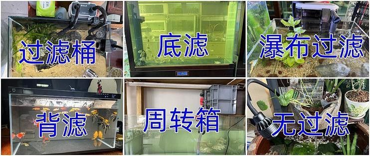 二手魚缸水族箱龍魚缸一米五魚缸一米二魚缸一米八魚缸