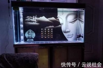 龍魚缸需要打氧嗎：養殖龍魚時，需要給魚缸打氧取決于多個因素，夏季龍魚養護技巧
