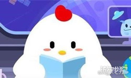 巴沙魚片和龍魚片是一種魚嗎