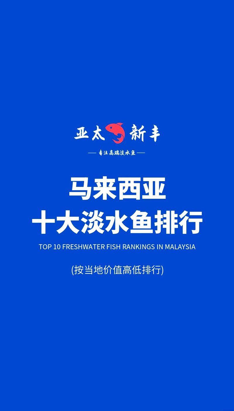 馬來西亞必吃十大魚 馬來西亞必吃十大魚 龍魚百科 第1張