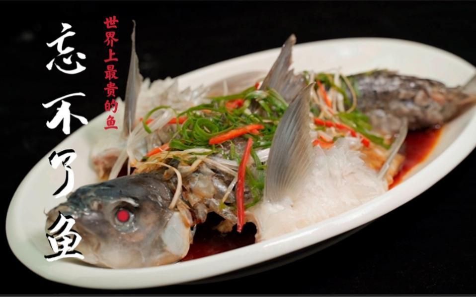 馬來西亞必吃十大魚 馬來西亞必吃十大魚 龍魚百科 第6張
