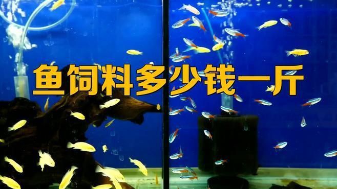 魚飼料價格與效果關系