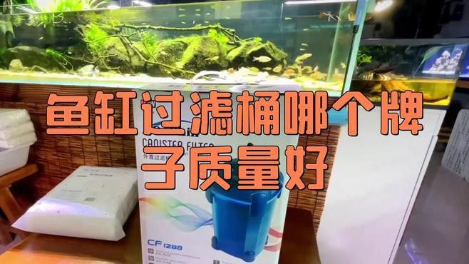 濾桶過濾有哪些品牌推薦？