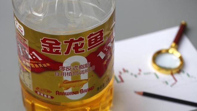 金龍魚的價格為何低下來了（金龍魚如何應(yīng)對市場競爭） 金龍魚的價格為何低下來了（金龍魚如何應(yīng)對市場競爭） 龍魚百科 第1張
