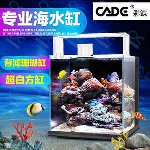 紅龍魚發色什么時間（紅龍魚發色什么時間最好）