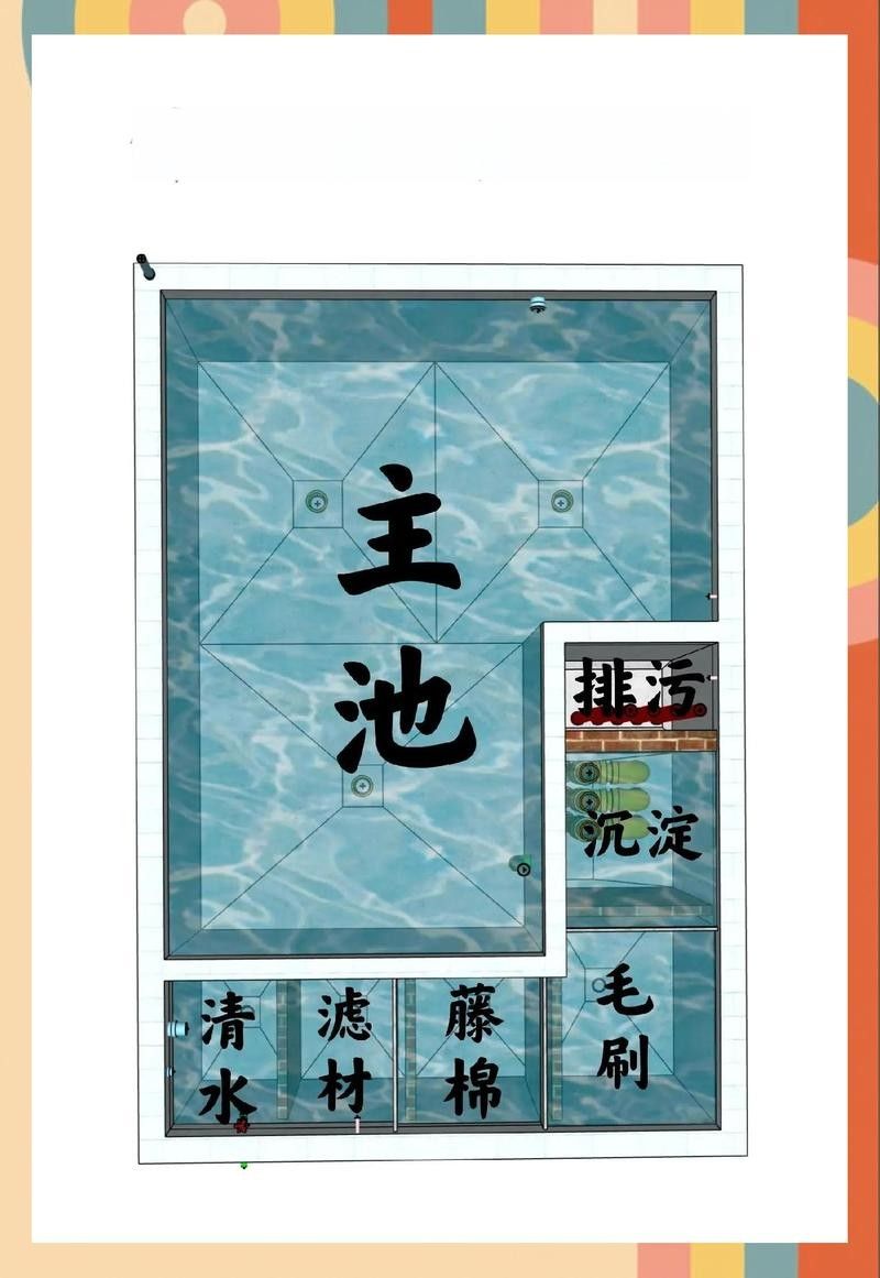 龍魚和錦鯉混養(yǎng)需要什么樣的過濾系統？ 龍魚和錦鯉混養(yǎng)需要什么樣的過濾系統？ 龍魚百科 第5張