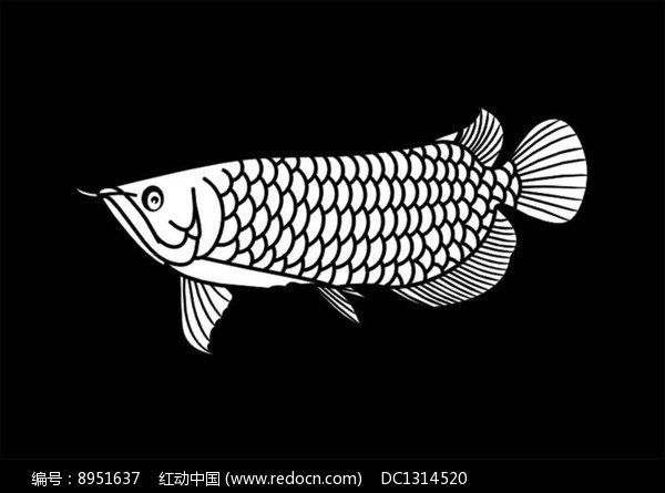有沒有適合手機壁紙的金龍魚雕刻圖片？