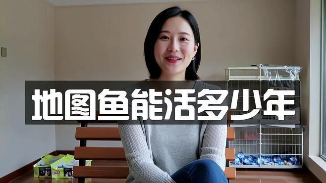 養(yǎng)了二十年的地圖魚 養(yǎng)了二十年的地圖魚 龍魚百科 第3張
