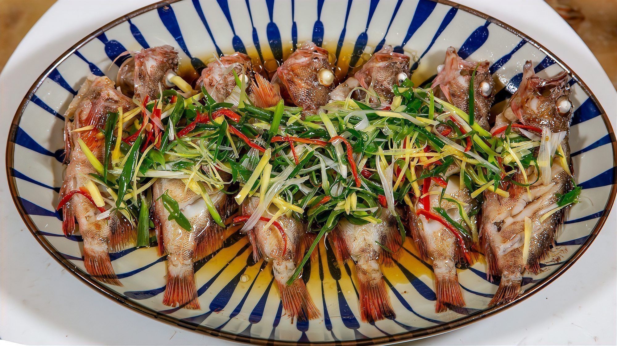 老虎魚短視頻 龍魚百科 第1張 老虎魚短視頻 老虎魚短視頻 龍魚百科 第1張