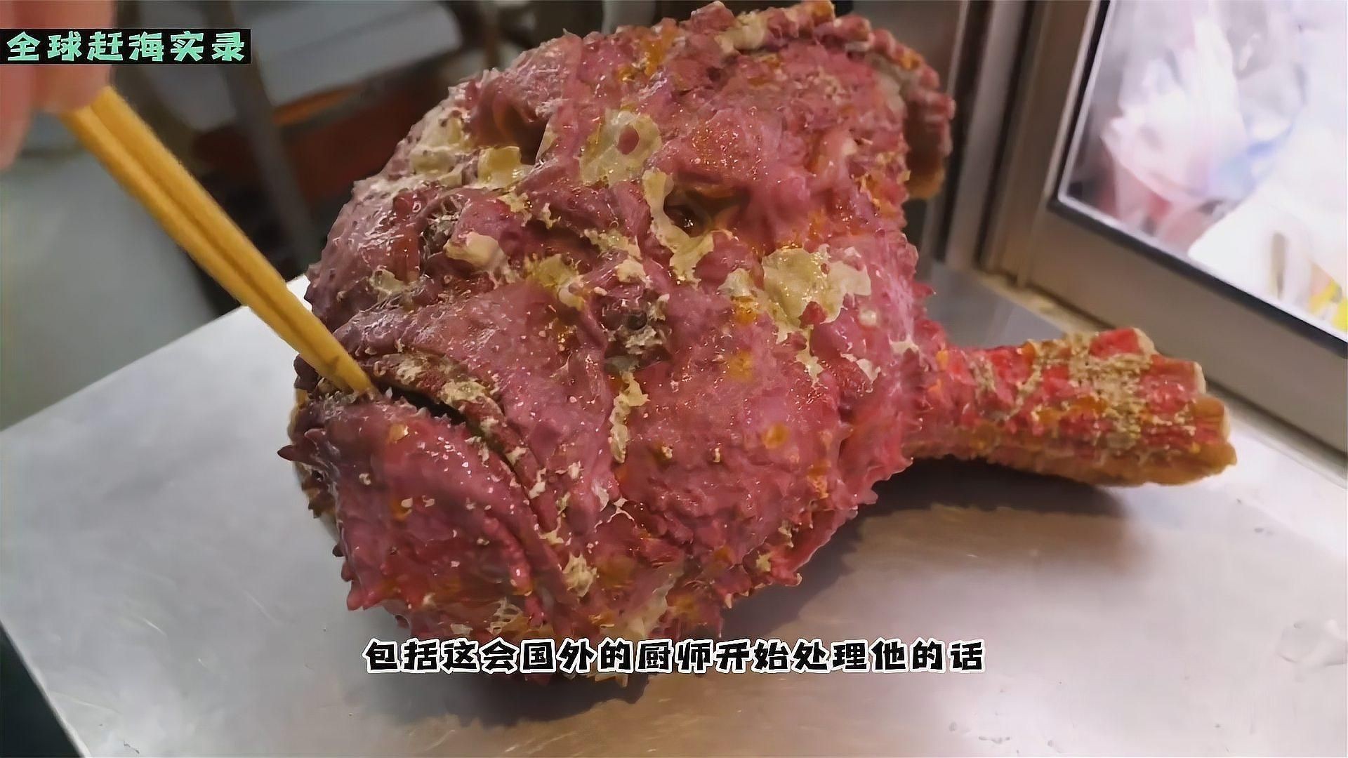 老虎魚短視頻 龍魚百科 第3張 老虎魚短視頻 老虎魚短視頻 龍魚百科 第3張