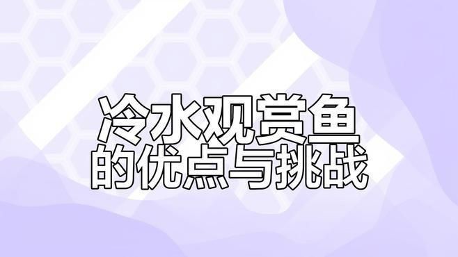 冷水可以養什么魚