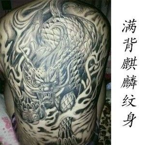 龍魚混養(yǎng)會掉眼嗎：如何預防龍魚掉眼