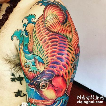 龍魚混養(yǎng)會掉眼嗎：如何預防龍魚掉眼