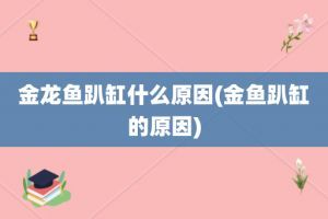 金龍魚總是趴缸（如何檢測金龍魚的水質，減少魚缸內噪音的方法） 金龍魚總是趴缸（如何檢測金龍魚的水質，減少魚缸內噪音的方法） 龍魚百科 第1張