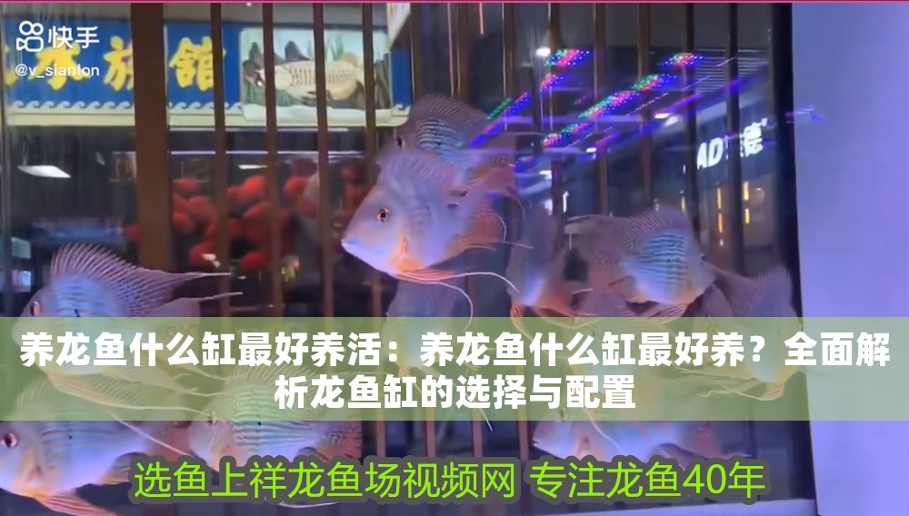養(yǎng)龍魚什么缸最好養(yǎng)活：養(yǎng)龍魚什么缸最好養(yǎng)？全面解析龍魚缸的選擇與配置