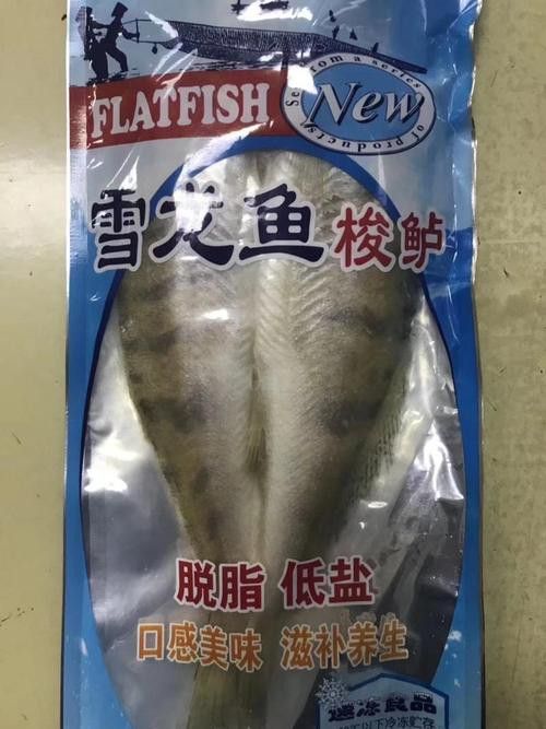 天山龍魚是什么魚種圖片