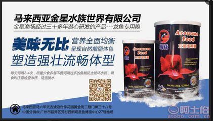 紅龍魚：紅龍魚是一種什么樣的魚？