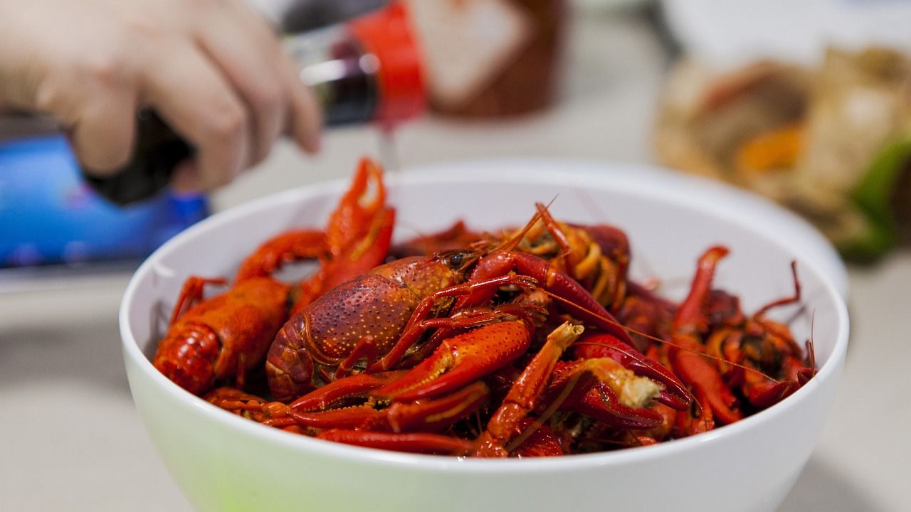 龍魚混養打架有什么好辦法：龍魚混養打架有什么好辦法嗎視頻