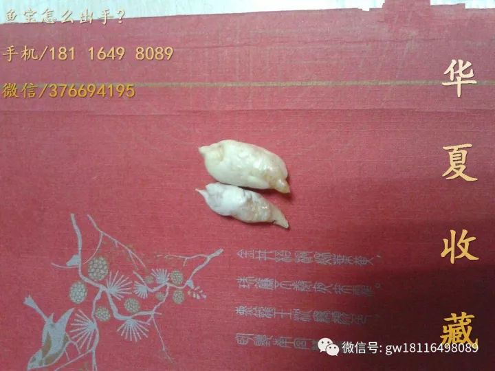 魚寶價值多少錢一克 魚寶價值多少錢一克 龍魚百科 第2張