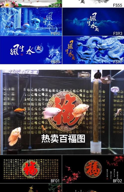 紅龍魚魚缸背景紙圖片欣賞 紅龍魚魚缸背景紙圖片欣賞 龍魚百科 第2張