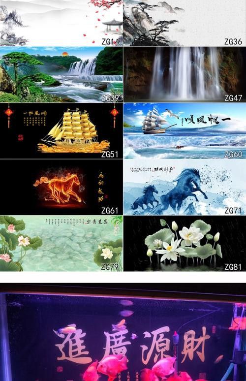 紅龍魚魚缸背景紙圖片欣賞 紅龍魚魚缸背景紙圖片欣賞 龍魚百科 第11張