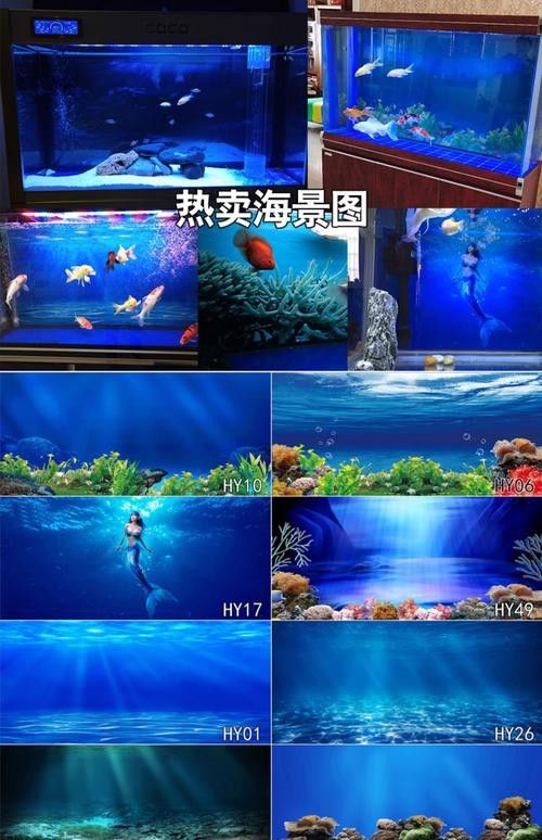 紅龍魚魚缸背景紙圖片欣賞 紅龍魚魚缸背景紙圖片欣賞 龍魚百科 第15張