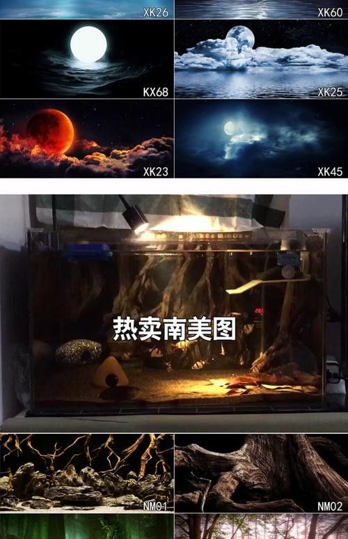 紅龍魚魚缸背景紙圖片欣賞 紅龍魚魚缸背景紙圖片欣賞 龍魚百科 第20張