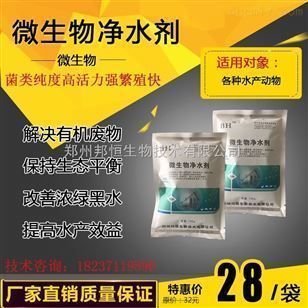 金龍魚經銷商（上海金龍魚經銷商一覽表詳細信息金龍魚海外銷售策略）