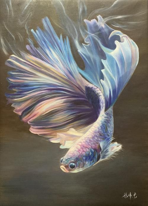 小紅龍魚圖片大全大圖高清壁紙 小紅龍魚圖片大全大圖高清壁紙 龍魚百科 第6張