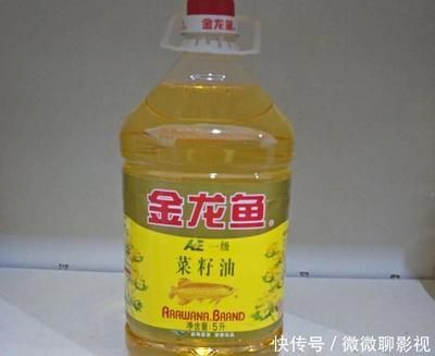 金龍魚 國外品牌，金龍魚國際市場的競爭對手金龍魚品牌及其背景介紹