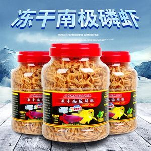 銀龍魚吃蝦皮嗎（銀龍魚可以吃蝦皮嗎，銀龍魚吃蝦皮需要注意什么）