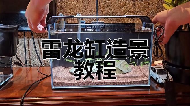 雷龍魚布景