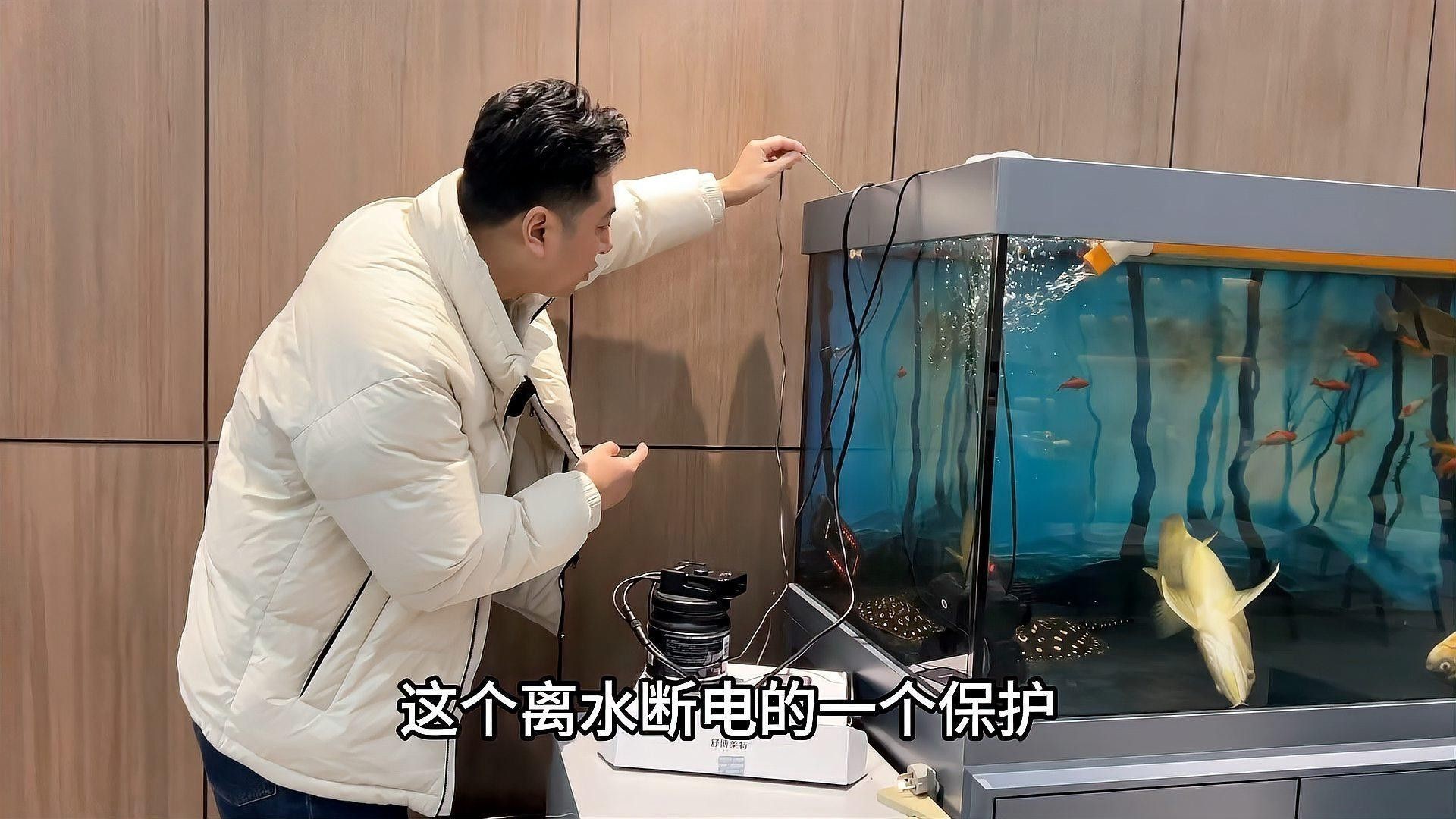 如何判斷龍魚是否需要急救？
