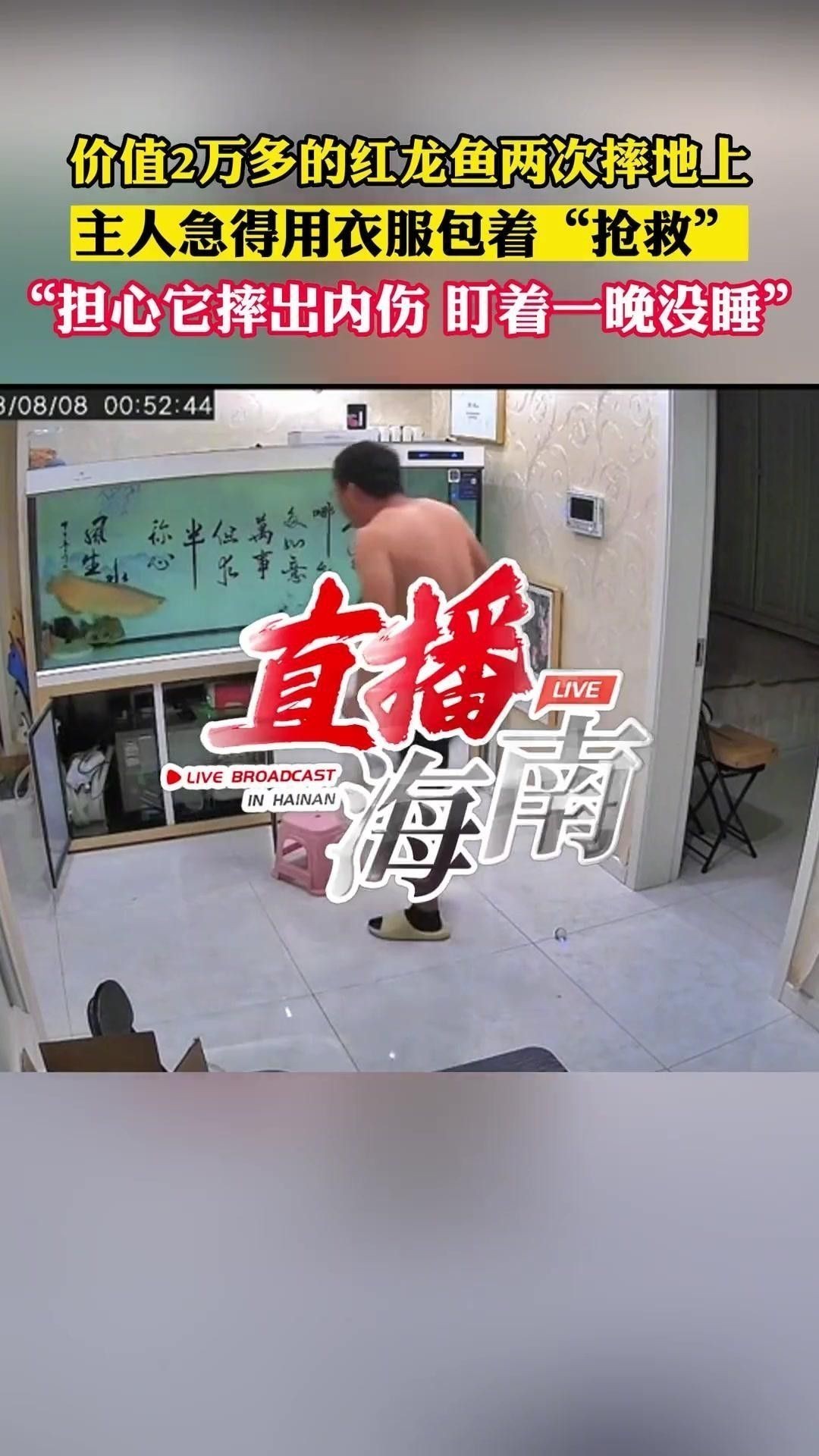 如何判斷龍魚是否需要急救？