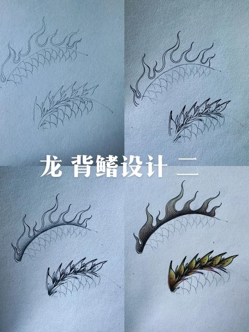 龍魚結(jié)構(gòu)圖