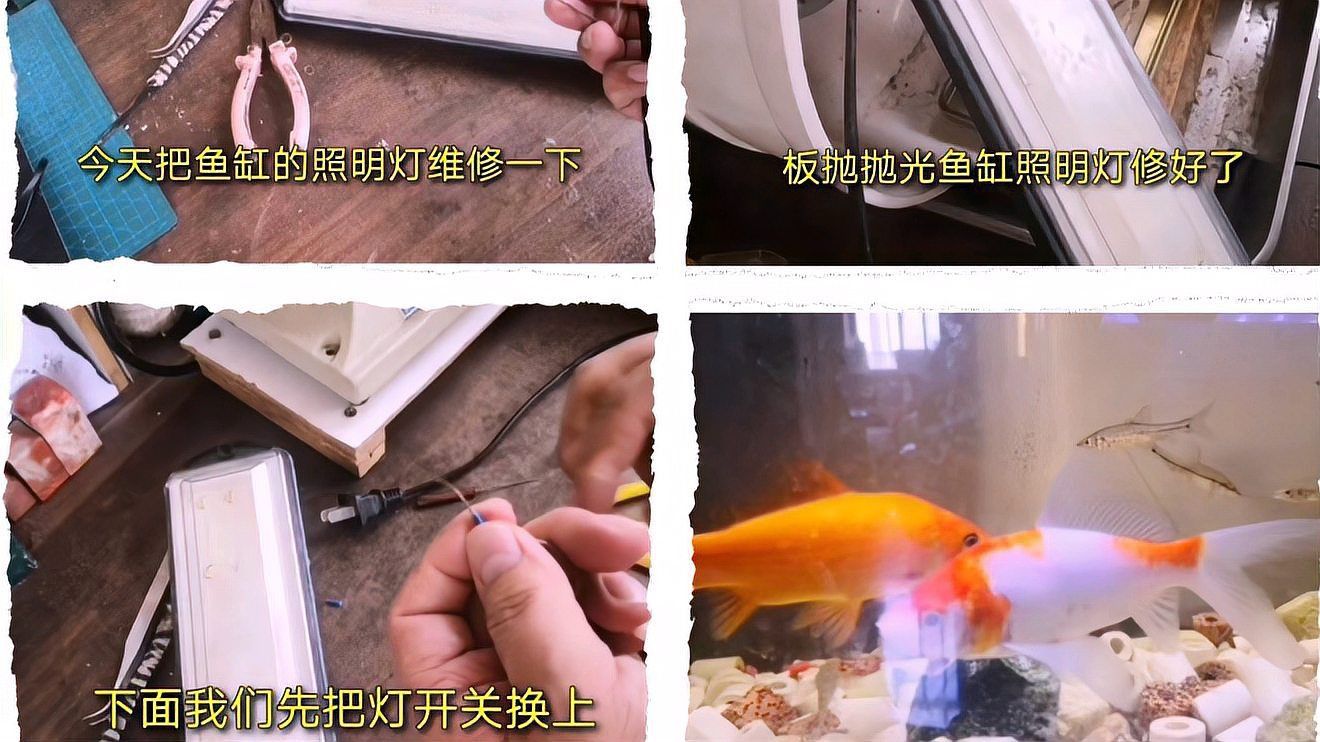 馬印魚缸燈開關燒了怎么辦