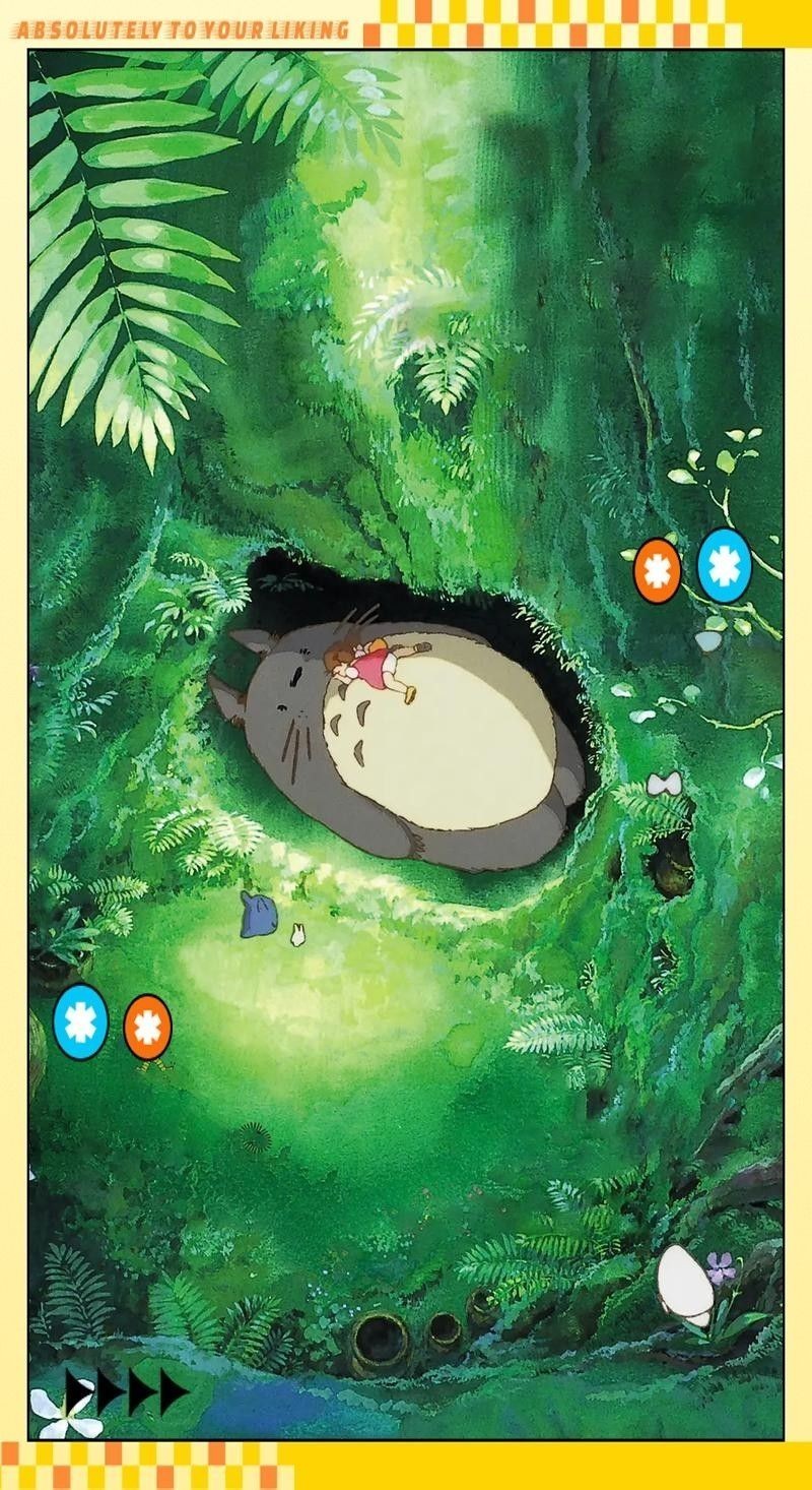 龍貓多久洗一次澡合適？