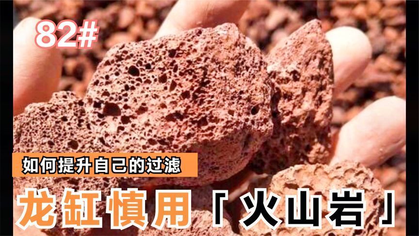 龍魚缸需要放珊瑚骨嗎：放不放珊瑚骨主要取【三湖慈鯛魚缸水質狀況和您希望
