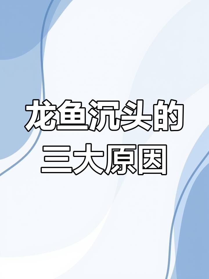 如何預防龍魚沉頭？