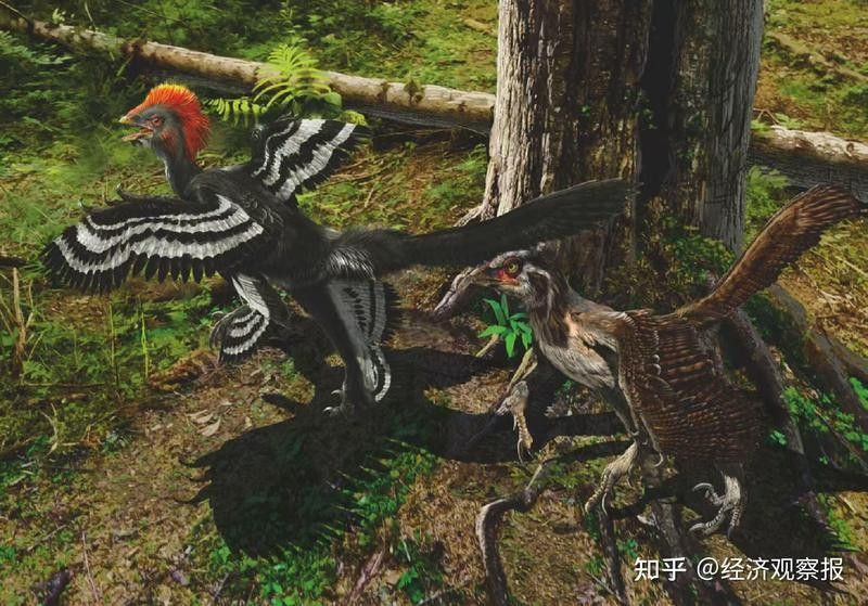 高清龍圖片的版權問題 高清龍圖片的版權問題 龍魚百科 第2張