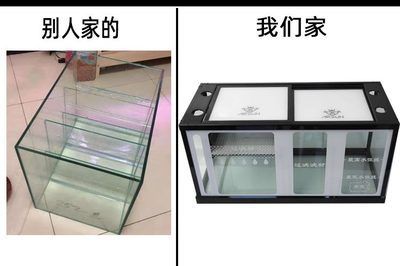 龍魚缸底濾缸設(shè)計圖集：龍魚缸底濾缸設(shè)計圖集詳細展示底濾缸布局提升美觀度方法